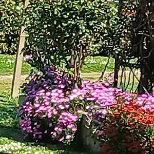  Appartamento Azienda Il Tizzano